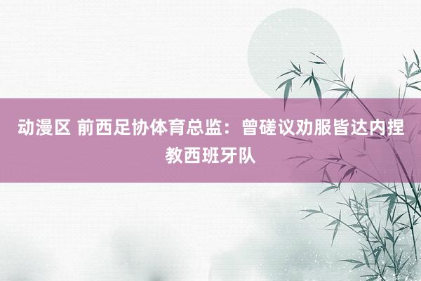 动漫区 前西足协体育总监：曾磋议劝服皆达内捏教西班牙队